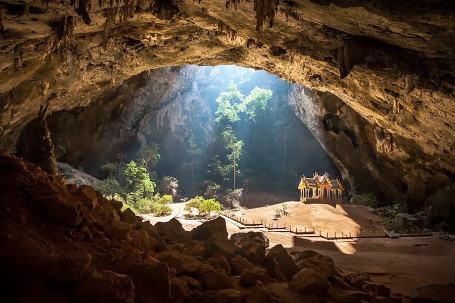 Eco Cave Garden